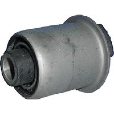 BUCSA PUNTE SPATE RENAULT KANGOO 4X4