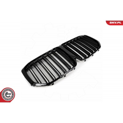 GRILA RADIATOR BMW X7 (G07)  2019-